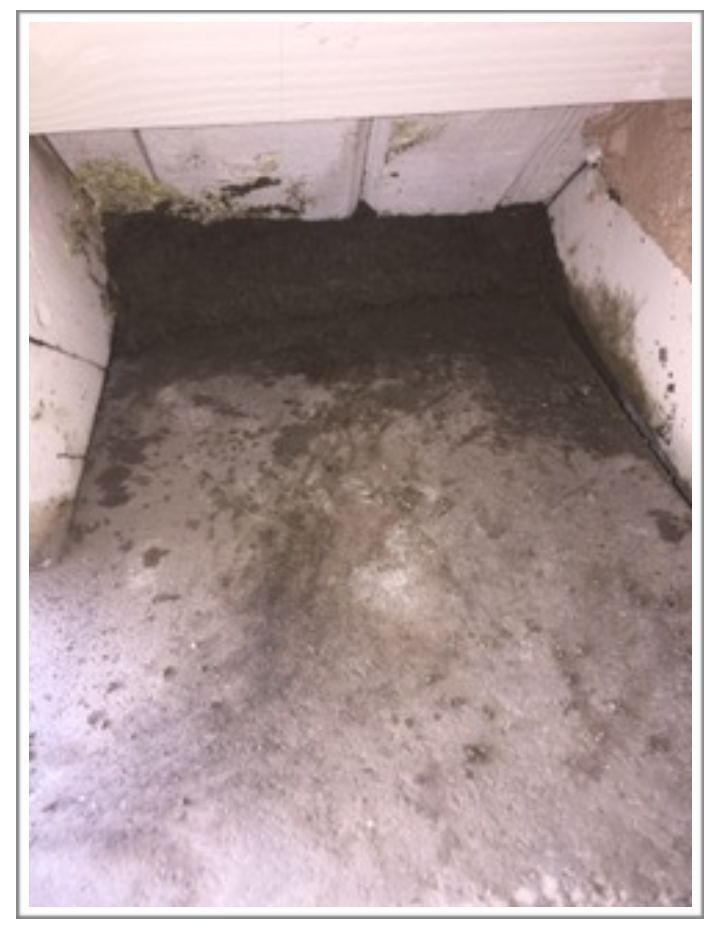 True Heat Solutions - Rodent Proofing