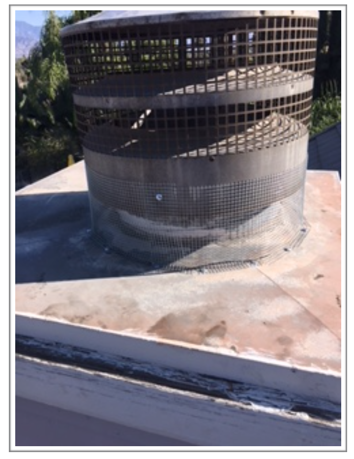 True Heat Solutions - Rodent Proofing