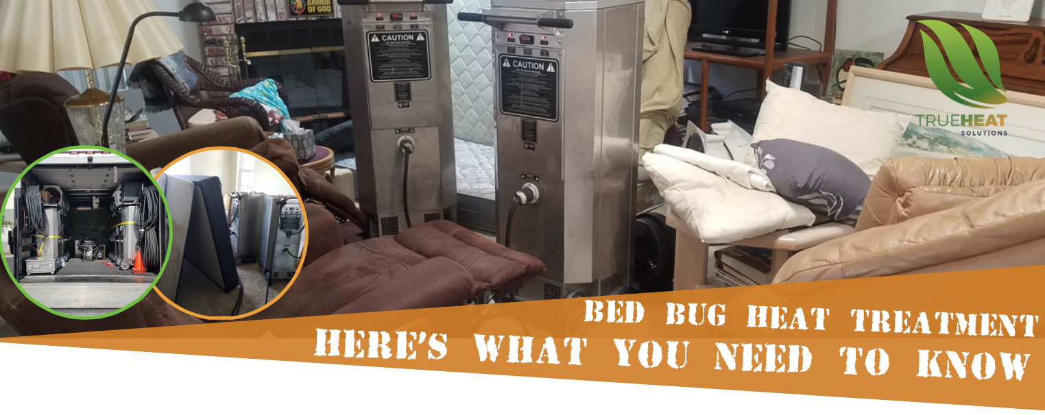 Bed Bug Heat Treatment True Heat Solutions